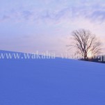 冬の北海道（pho-2013wi-0148）