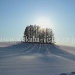 冬の北海道（pho-2013wi-0154）