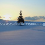 冬の北海道（pho-2013wi-0155）