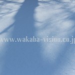 冬の北海道（pho-2013wi-0234）